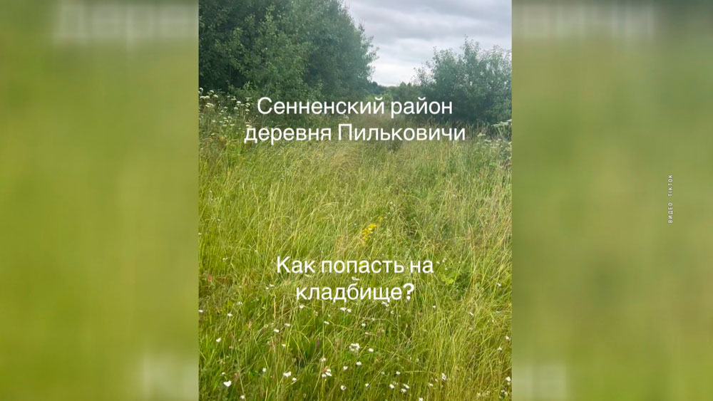 Проблема сельских кладбищ: кто должен ухаживать за местами погребения – разбираемся-18