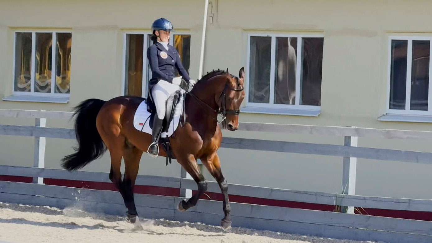 Международная федерация конного спорта допустила белорусов к участию в командных соревнованиях Международная федерация конного спорта допустила белорусов к участию в командных соревнованиях