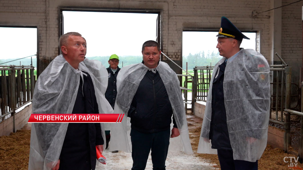 Прокуратура Минской области проводит рейды по выявлению падежа скота-2