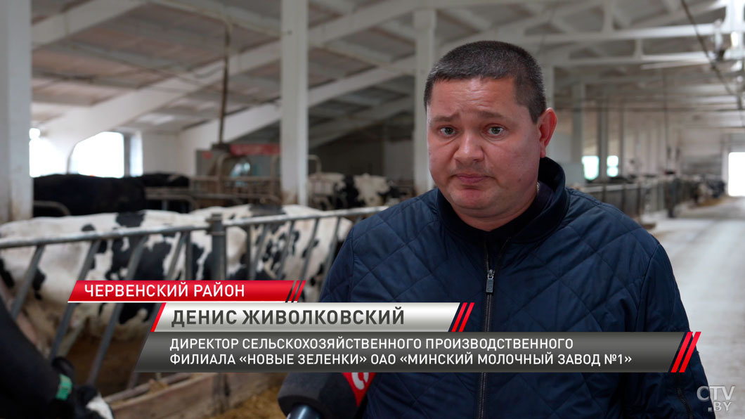 Прокуратура Минской области проводит рейды по выявлению падежа скота-4 Прокуратура Минской области проводит рейды по выявлению падежа скота-4
