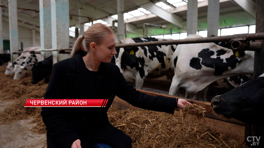 Прокуратура Минской области проводит рейды по выявлению падежа скота-6 Прокуратура Минской области проводит рейды по выявлению падежа скота-6