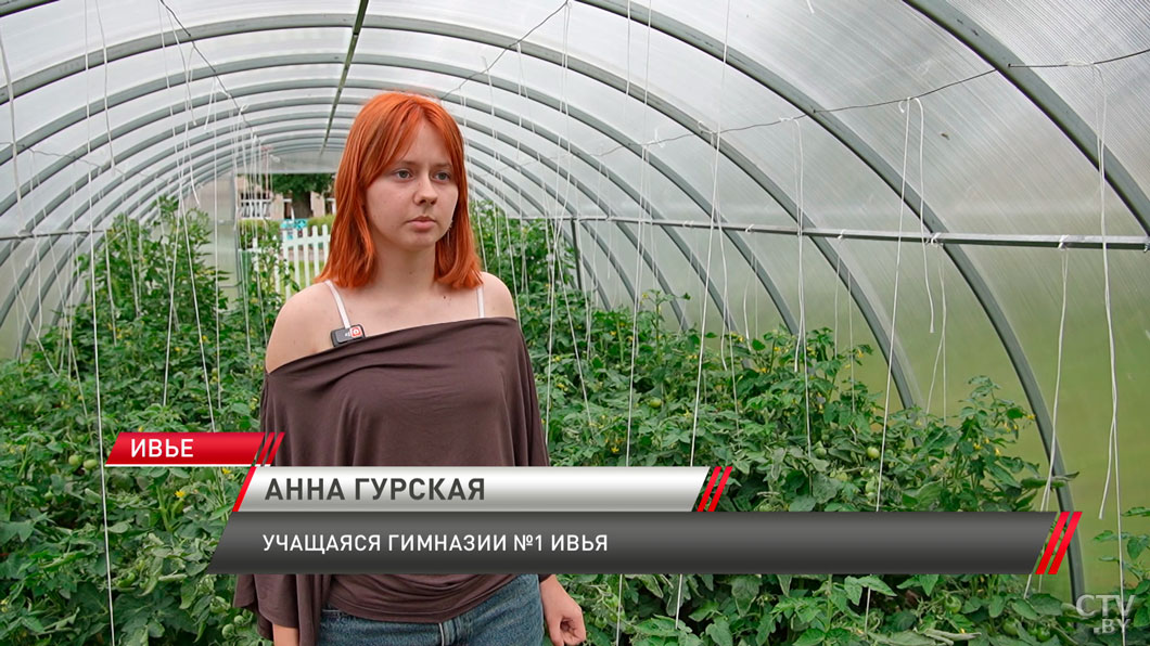Повлиял ли космос на помидоры? Первые интригующие результаты белорусского эксперимента-6