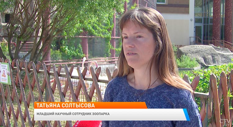 Как провести время с детьми летом? Вот несколько вариантов, куда можно сходить-4 Как провести время с детьми летом? Вот несколько вариантов, куда можно сходить-4