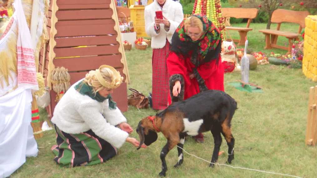 Главный праздник хлебороба – рассказываем, как прошли местные «Дожинки» в Славгороде