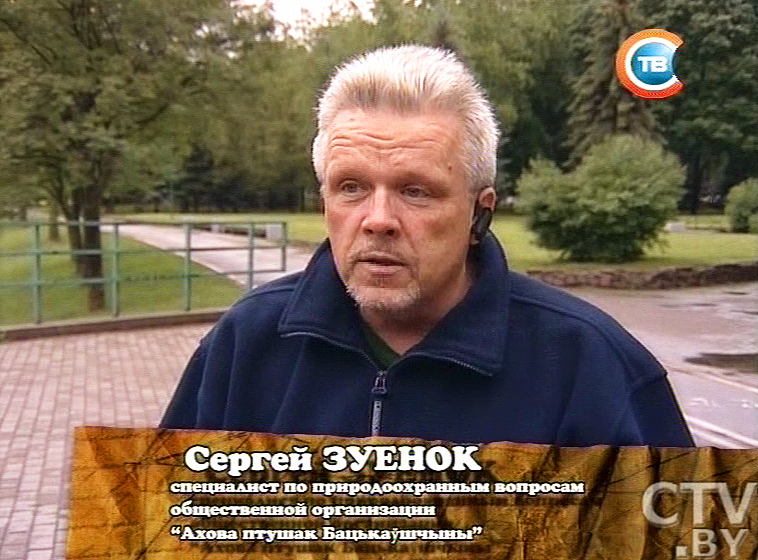 Вороны нападают на людей в Минске