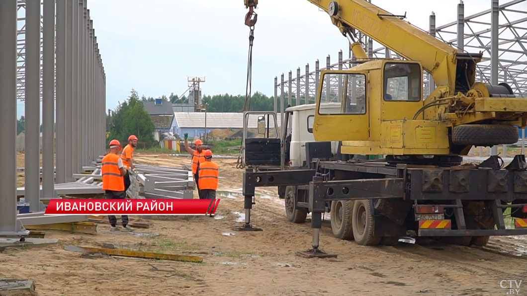 Абсолютный рекорд страны по суточному удою от коровы установили в хозяйстве Брестской области-12