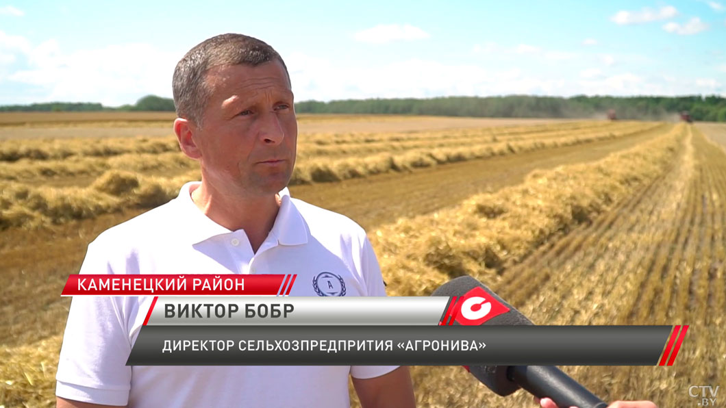 Комбайнеры на интервью не отвлекаются – посмотрели, как идёт уборочная в лучших хозяйствах-10 Комбайнеры на интервью не отвлекаются – посмотрели, как идёт уборочная в лучших хозяйствах-10