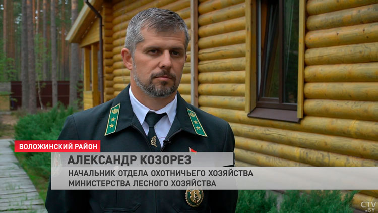 Всё больше белорусов хотят жить в бунгало! В стране новый тренд на деревянные дома-7 Всё больше белорусов хотят жить в бунгало! В стране новый тренд на деревянные дома-7