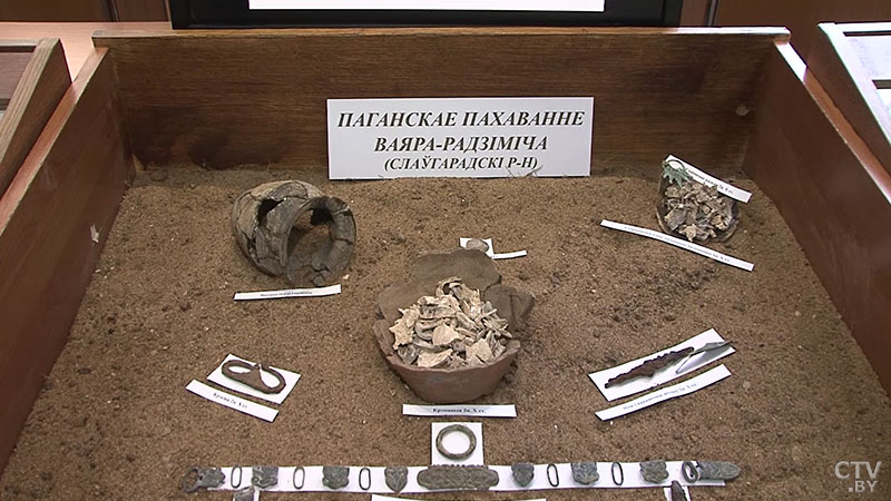 «Гэта сэнсацыя нумар адзін». Боевой топор и подкову X-XI веков нашли в Бобруйском районе-4