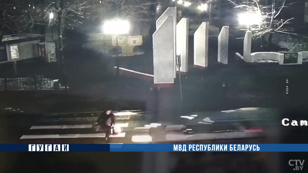 В Вилейке Ford сбил женщину на пешеходном переходе-1