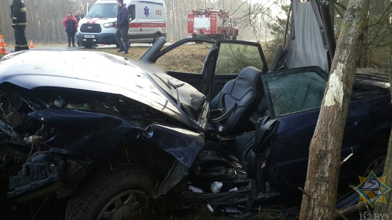 В Брестском районе Audi врезалась в дерево, пострадал водитель-1