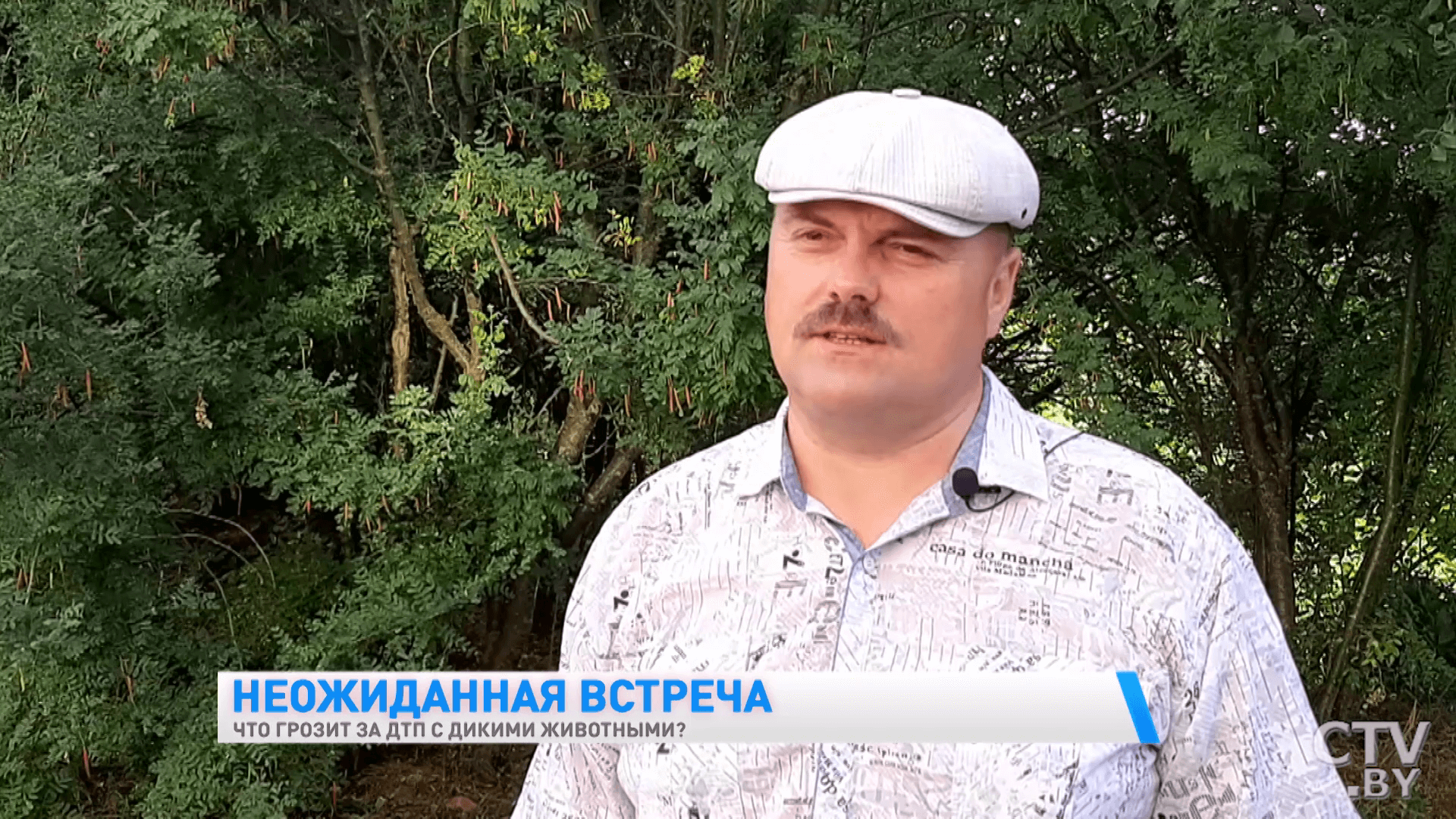 «Ни в коем случае нельзя скрывать факт ДТП». Что грозит за наезд на дикое животное -4