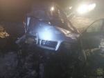 Под Мостами Audi сбил лося. 18-летняя дочь водителя погибла, сын в реанимации