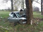 В Червенском районе Renault врезался в дерево. Водитель погиб