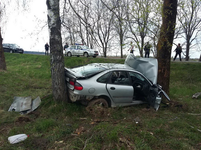 В Червенском районе Renault врезался в дерево. Водитель погиб-1