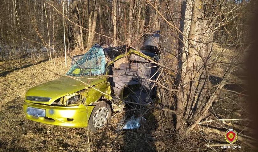 В Ивьевском районе многодетная мать погибла в ДТП. Четверо детей госпитализированы-1