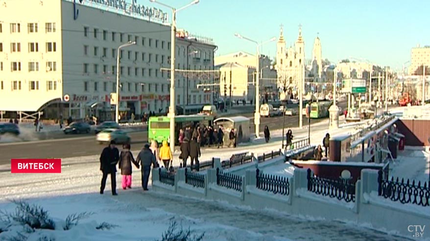 Житель Новополоцка осуждён за жестокое обращение со своей собакой. Мужчина душил и избивал пса-7