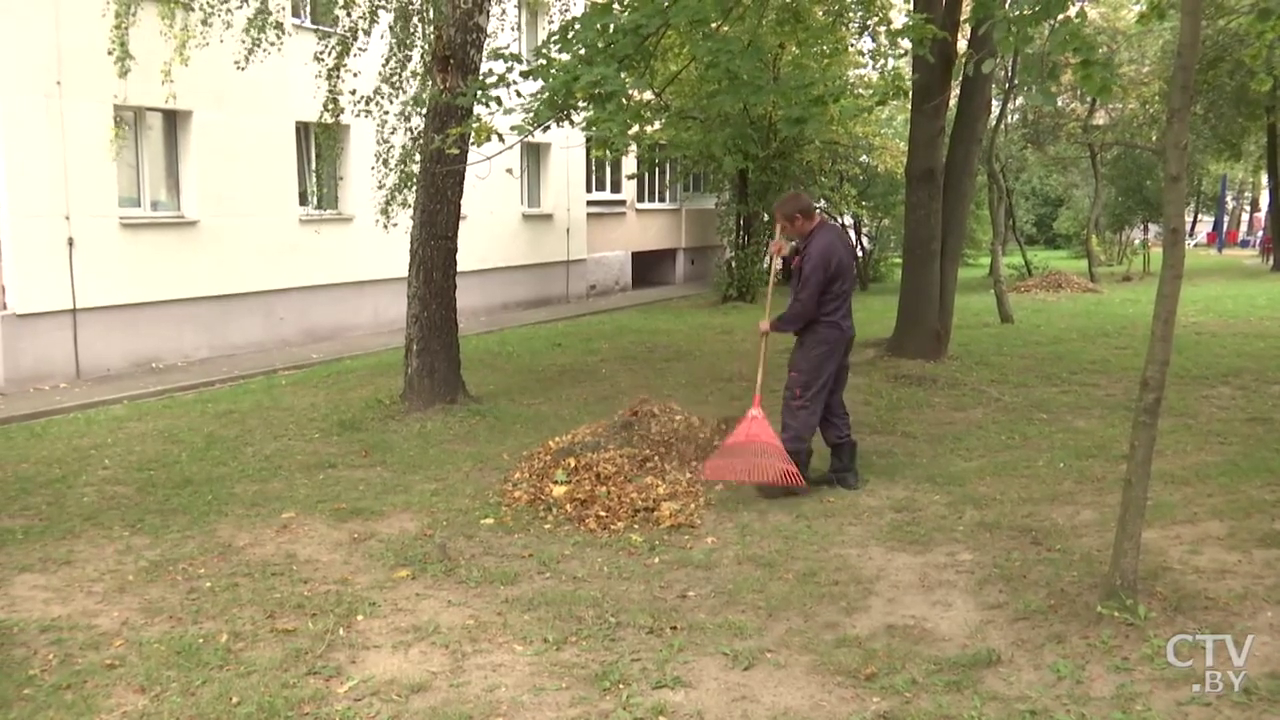 «Сегодня выгреб, утром – кучи такие, прямо пепельницы высыпают с балкона». Дворник Минска – о своей работе-7