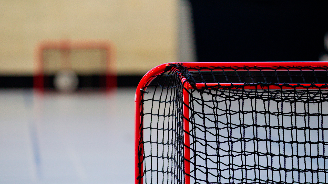 Осталось 19 шайб. Овечкин сокращает отставание от Гретцки