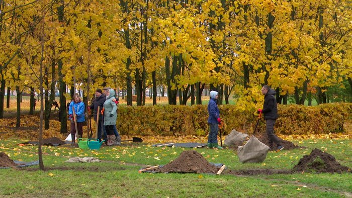 Более 60 тысяч деревьев высадят в Беларуси в рамках единого дня озеленения