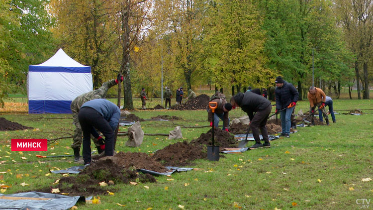 Более 60 тысяч деревьев высадят в Беларуси в рамках единого дня озеленения-10