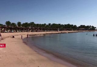 С 1 сентября перед посещением Египта нужно будет сдать тест на коронавирус