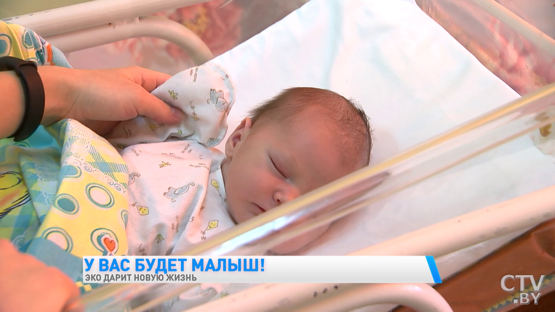 ЭКО в Беларуси. Где его проводят и кто может сделать-1