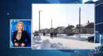 На Сахалине открыли первый белорусско-российский агрогородок