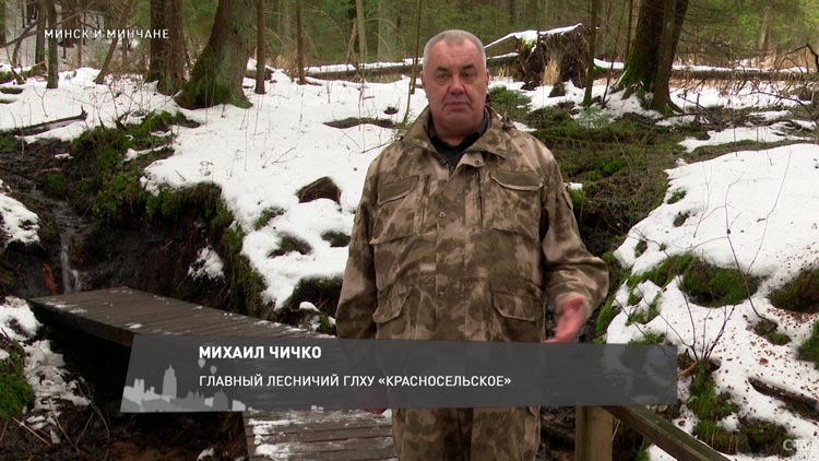 14 родников спускаются с возвышенности и впадают в Балтийское море. Показываем сказочную экотропу в Беларуси-7