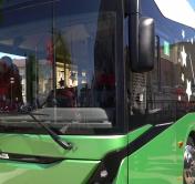 Белорусские автобусы отправят в автопарки Санкт-Петербурга