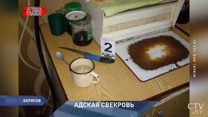 В Борисове свекровь пыталась зарезать невестку -7