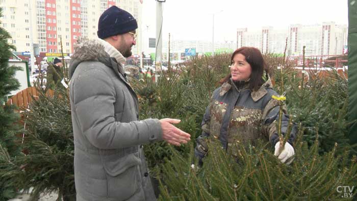 Важно, чтобы помещение было не сухое. Как ухаживать за натуральной елью?-7