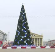 В Минске нарядили главную ёлку. Фотофакт