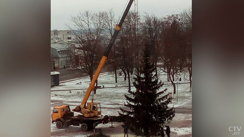 Очевидец снял на видео падение новогодней ёлки в Червене-6