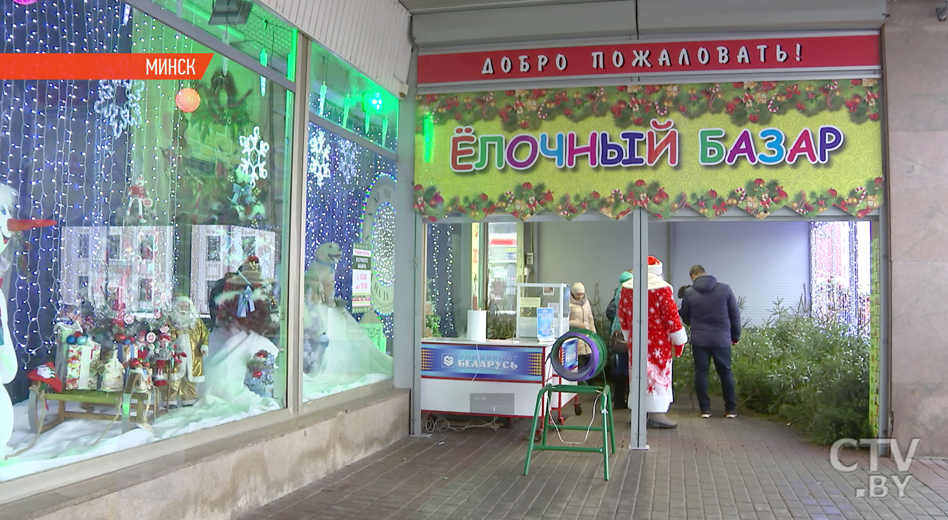 70 тысяч елей и сосен продали лесхозы Беларуси перед Новым годом-1