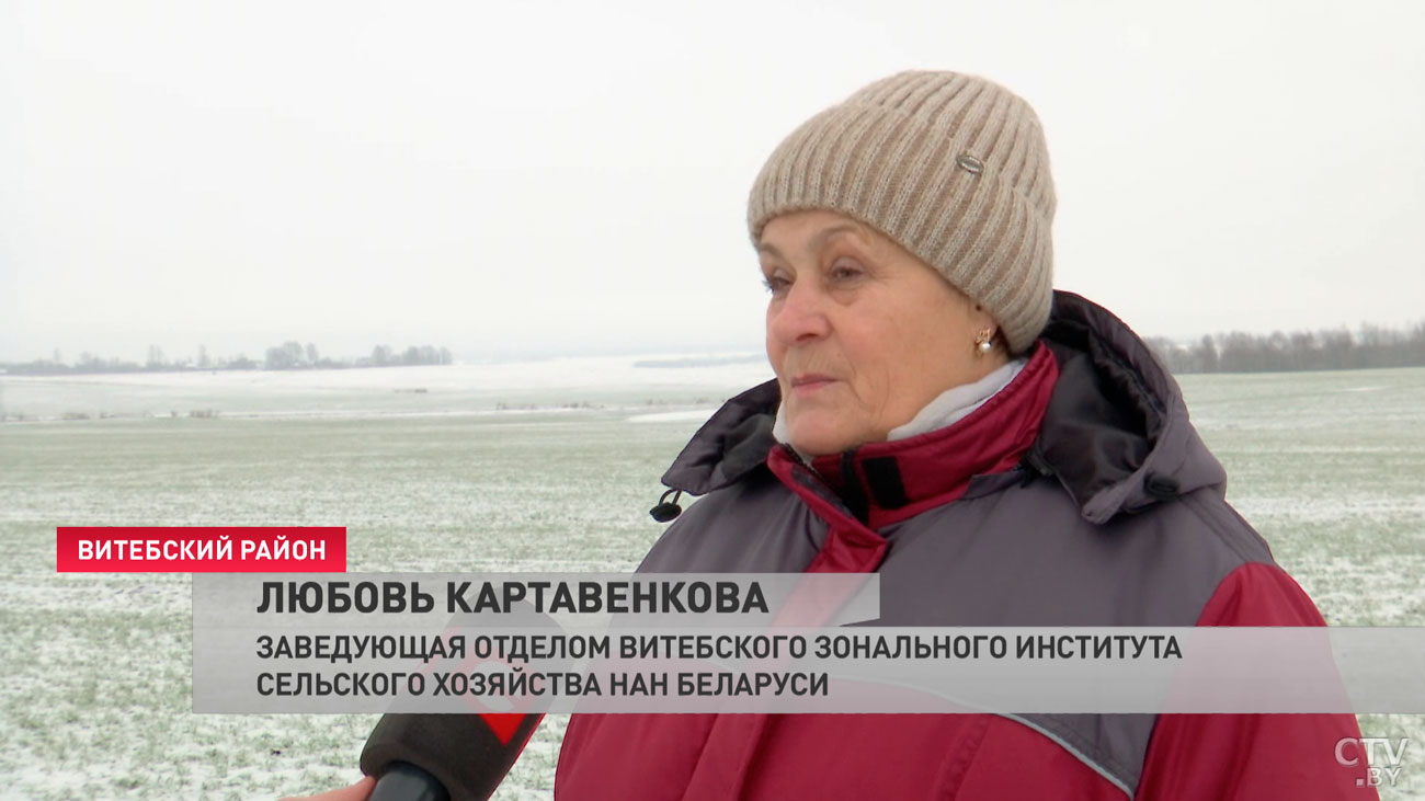 «Потепление, опять заморозки, опять потепление». Что будет с урожаем в Беларуси?-10