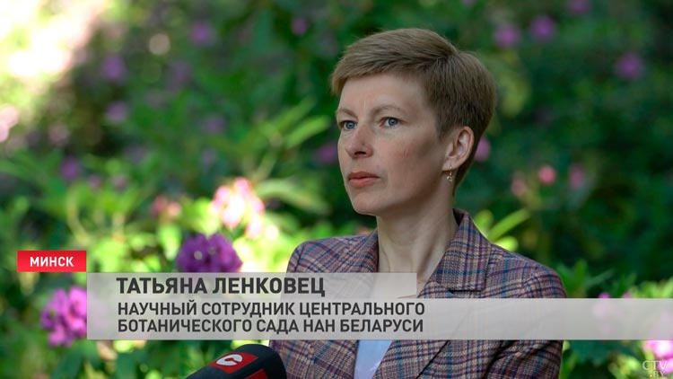  «Есть на что полюбоваться». Какие растения можно встретить в Центральном ботаническом саду?-4