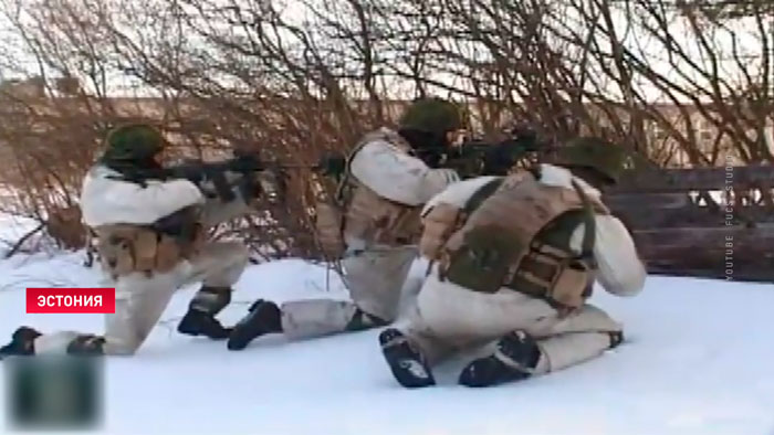 Эстония в 2022 году закупила боеприпасов в два раза больше, чем за 30 лет