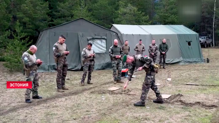 В Эстонии гражданских начали учить рыть окопы, стрелять и вести бой в лесах