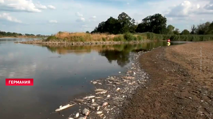 Сильнейшая засуха в Европе. В Германии и Франции пересохли главные реки