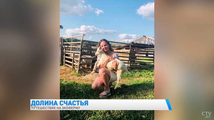 Можно попробовать домашний сыр и погладить животных. Чем заняться туристу на семейной экоферме в Подолянах?-37