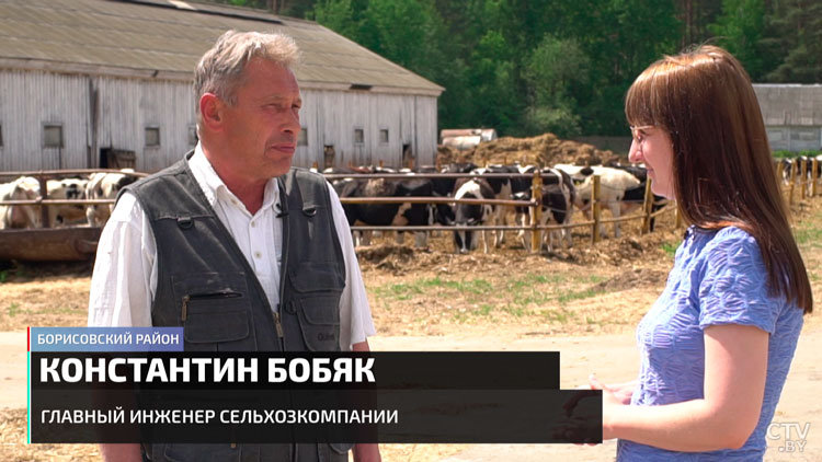 Китайский инвестор возродил старую ферму под Борисовом – инвестировали более 12 млн долларов-22 Китайский инвестор возродил старую ферму под Борисовом – инвестировали более 12 млн долларов-22
