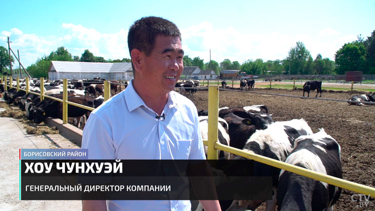 Китайский инвестор возродил старую ферму под Борисовом – инвестировали более 12 млн долларов-28