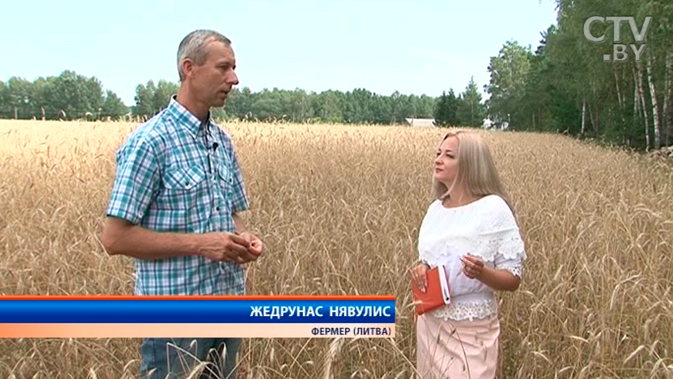 Репортаж из Литвы. Как выращивают хлеб в потомственной семье фермеров-3