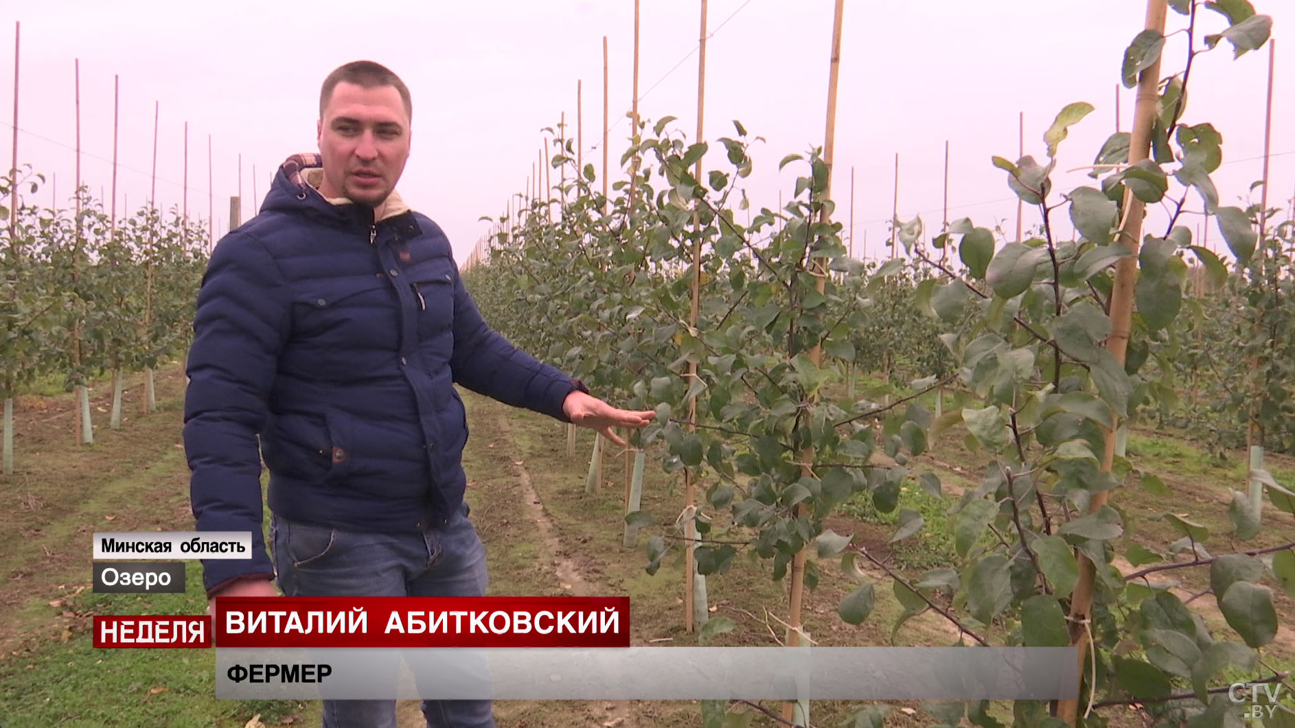 «Польское и рядом не стояло». Белорусский фермер рассказал, почему решил выращивать яблоки на продажу-4