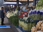 В помощь фермерам: система электронного бронирования минских торговых мест заработала в Беларуси