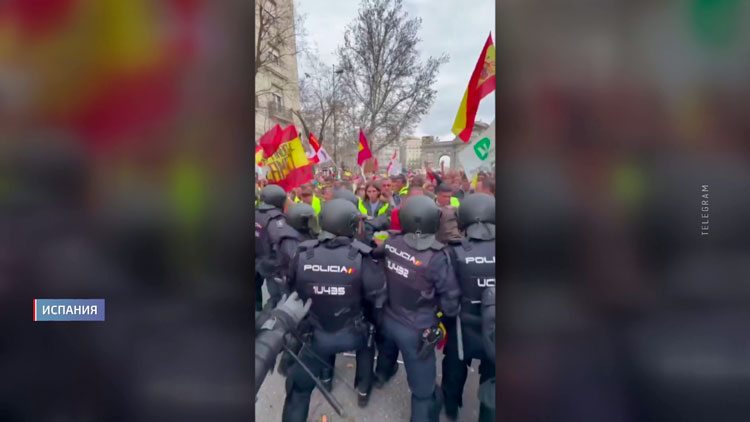 Фермерский протест в Мадриде полицейские разогнали дубинками -1
