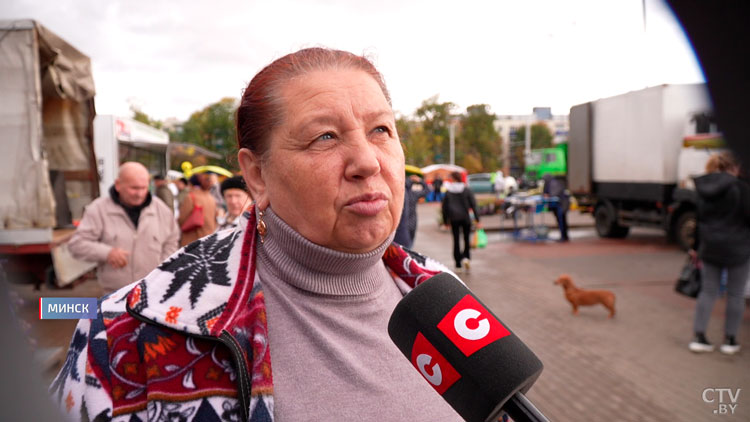 «Выкидывали тысячами тонн!» Опытные фермеры про урожай, помощь от государства и супермаркеты-22