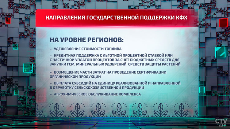 «Выкидывали тысячами тонн!» Опытные фермеры про урожай, помощь от государства и супермаркеты-25