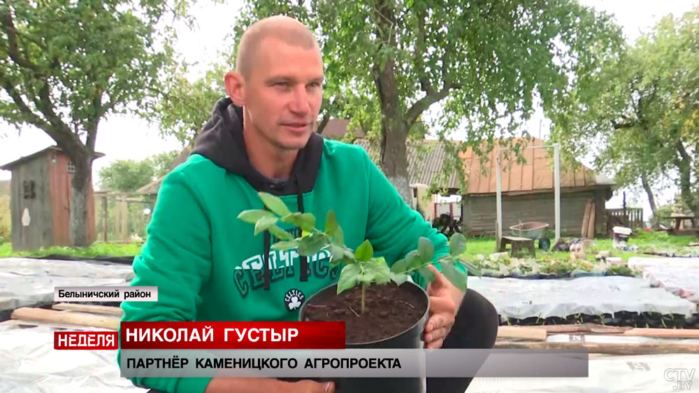 Среди фермеров – македонец и спортсмен. Эти аграрии с нуля развивают агробизнес и выращивают голубику-16